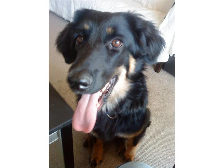 {{currentPhoto.altText}} billede {{currentPhoto.number}}