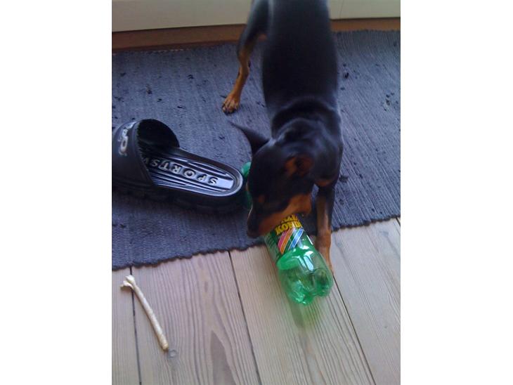 {{currentPhoto.altText}} billede {{currentPhoto.number}}