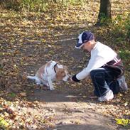 Beagle Bonzo