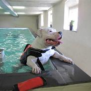 Blanding af racer RIP. Møffe 