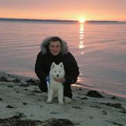 Samojedhund Basse