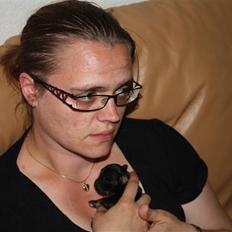 Blanding af racer Johan jack