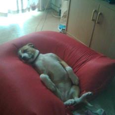 Blanding af racer coco