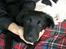 Blanding af racer Bonzo R.I.P :'( - <GAMMELT>* Den gang Bonzo var "lille" 