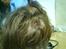 Shih tzu Ludwig. RIP ! - Bare 1 time eller 2 mere :(