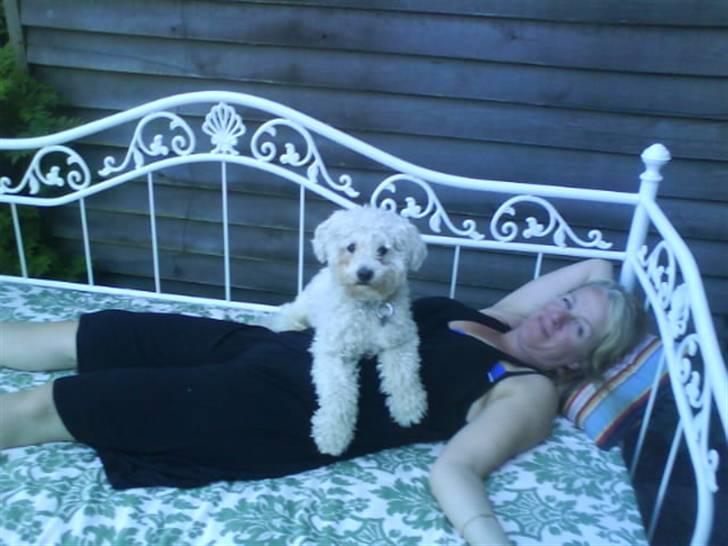 Blanding af racer Billy "Greece" - Min mor og billy i vores have seng er de ikke hyggelige? xD billede 9