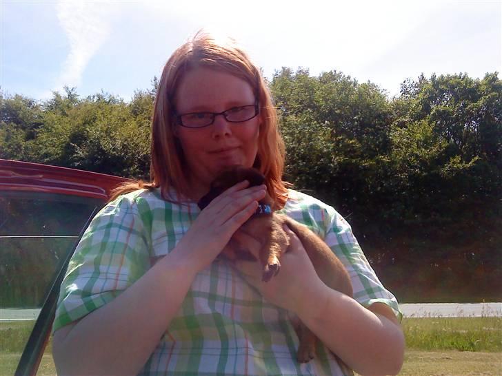 Blanding af racer Felix <3  billede 2