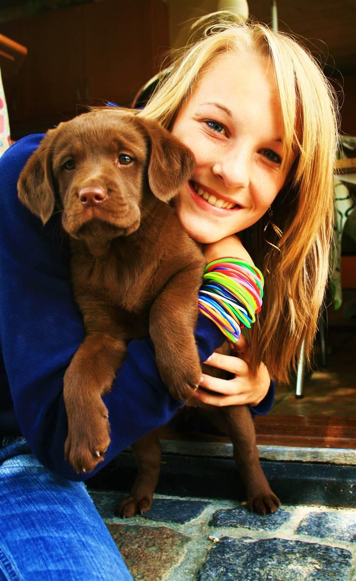 Labrador retriever Maggi - Velkommen til Maggi´s profil<3 (mig og Maggi på billedet) :) billede 1