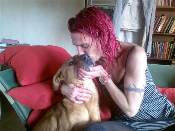 Rhodesian ridgeback Markus | Min Fars | billede 18