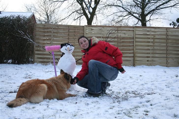 Belgisk hyrdehund Flicka - Mig, Flicks og Snemand... billede 13