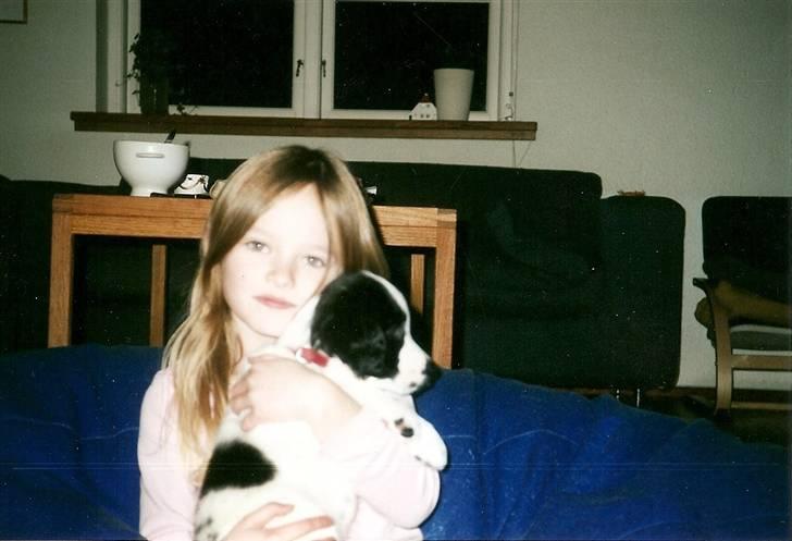 Blanding af racer Amica billede 19