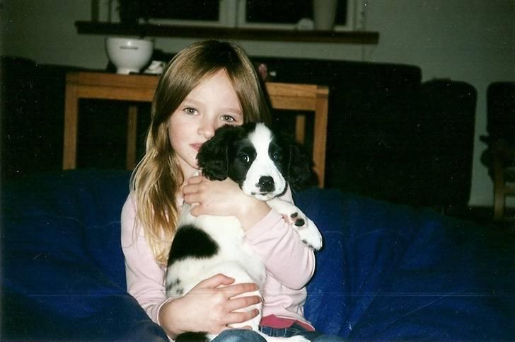 Blanding af racer Amica billede 20