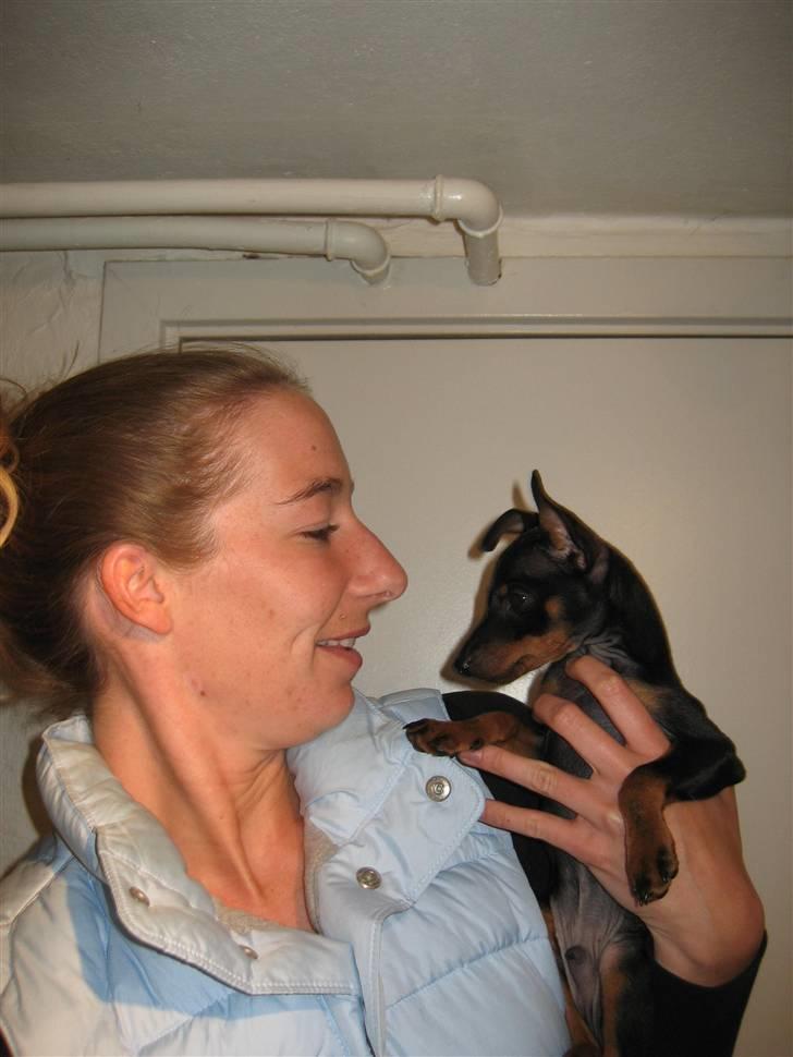 Dvaergpinscher Bastian - mig og min mor billede 9