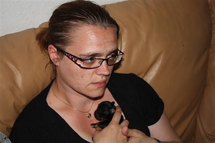 Blanding af racer Johan jack billede 3