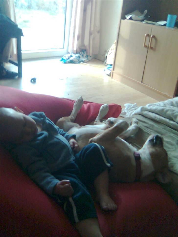 Blanding af racer coco - her sover theis på 3 år sammen med coco  billede 4