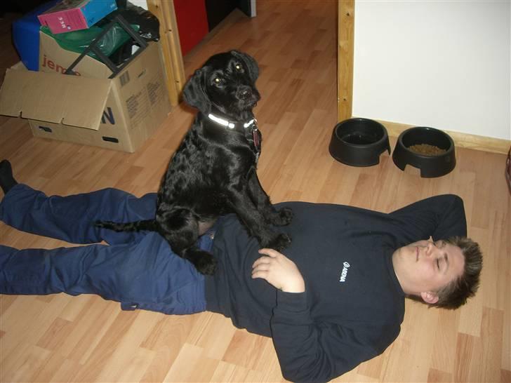 Blanding af racer Nova - Så har jeg nedlagt far... sådan!! billede 11