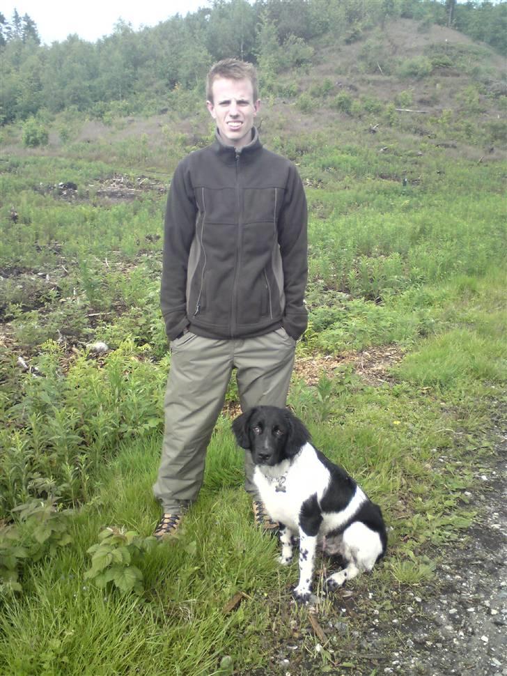 Stabijhoun Victor billede 13