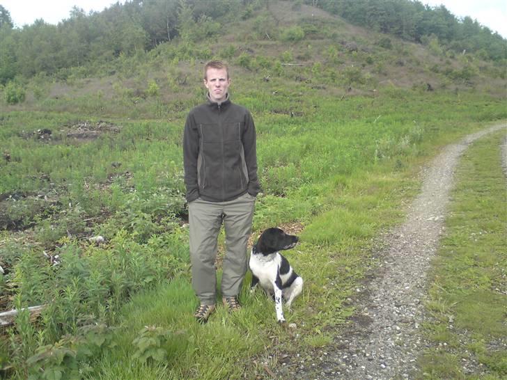 Stabijhoun Victor billede 14