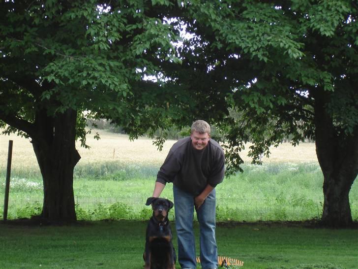 Rottweiler Spike billede 11