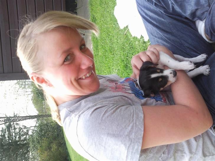 Dansk svensk gaardhund Louie - 4 uger billede 2