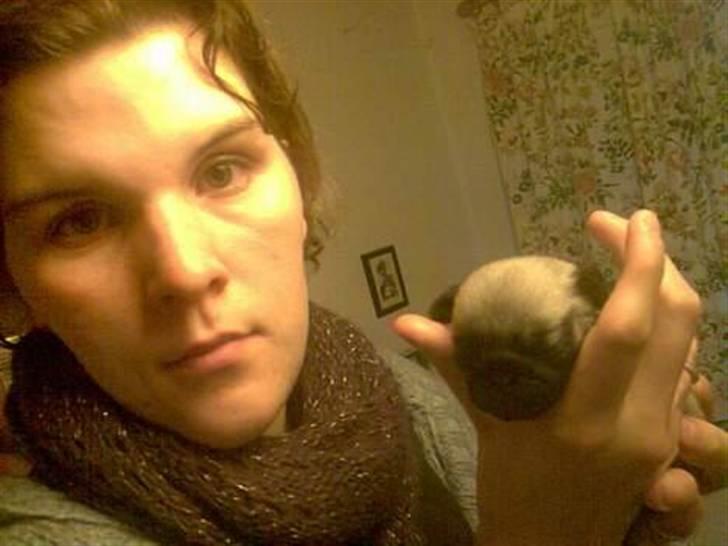 Mops OdA - Oda 16dage gammel ;0) billede 22