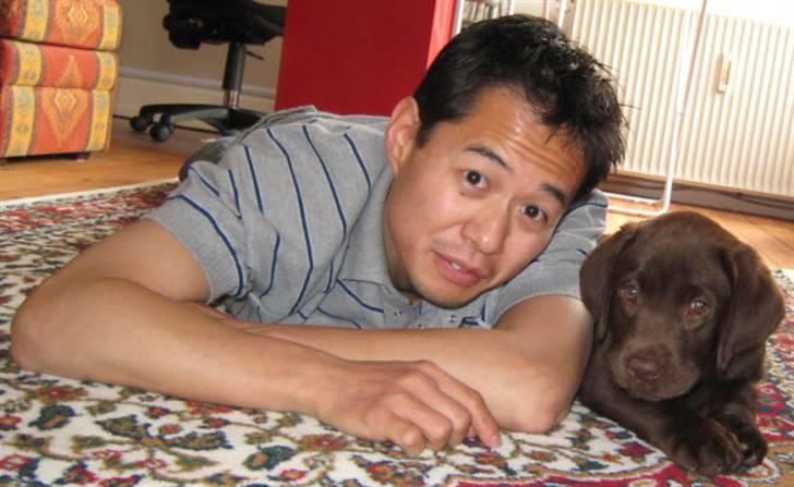 Labrador retriever Ciano billede 2