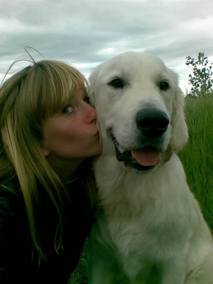Golden retriever Loui <3 - mig og Loui :)  billede 15