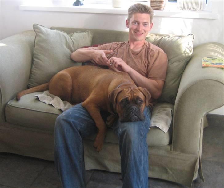 Dogue de bordeaux Sienna - 8 måneder gammel  billede 10