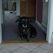 Blanding af racer Tulle