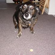 Blanding af racer Tulle