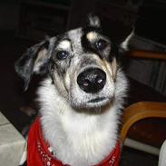 Blanding af racer Emma