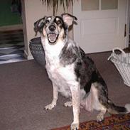 Blanding af racer Emma