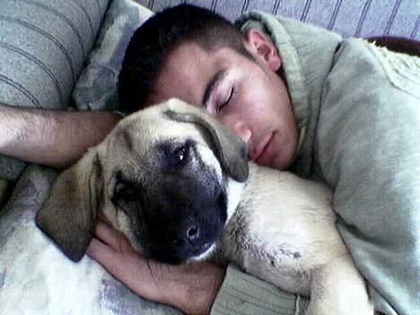 Blanding af racer Shiva  - Når hun sover sammen med mig  billede 4