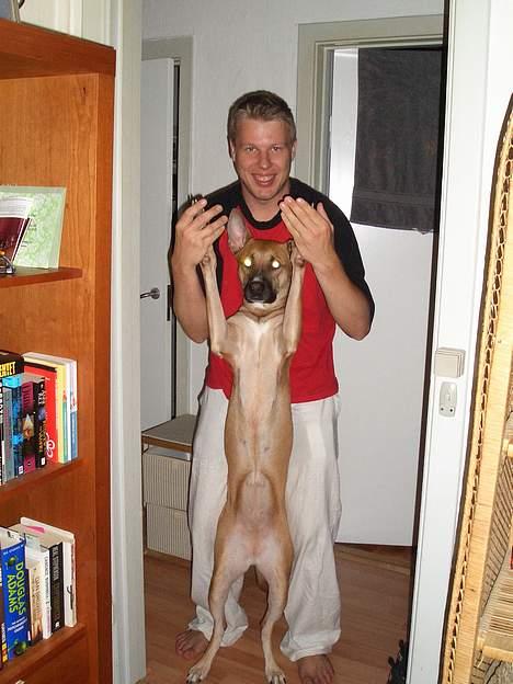 Blanding af racer Kaya - hvor stor er du? sååå stooor! billede 14