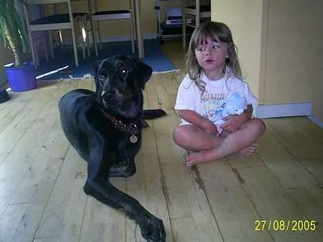 Blanding af racer Rollo (død) - De bedste venner billede 8