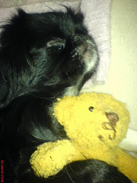 Japanese Sally & Frede ;O) billede 11