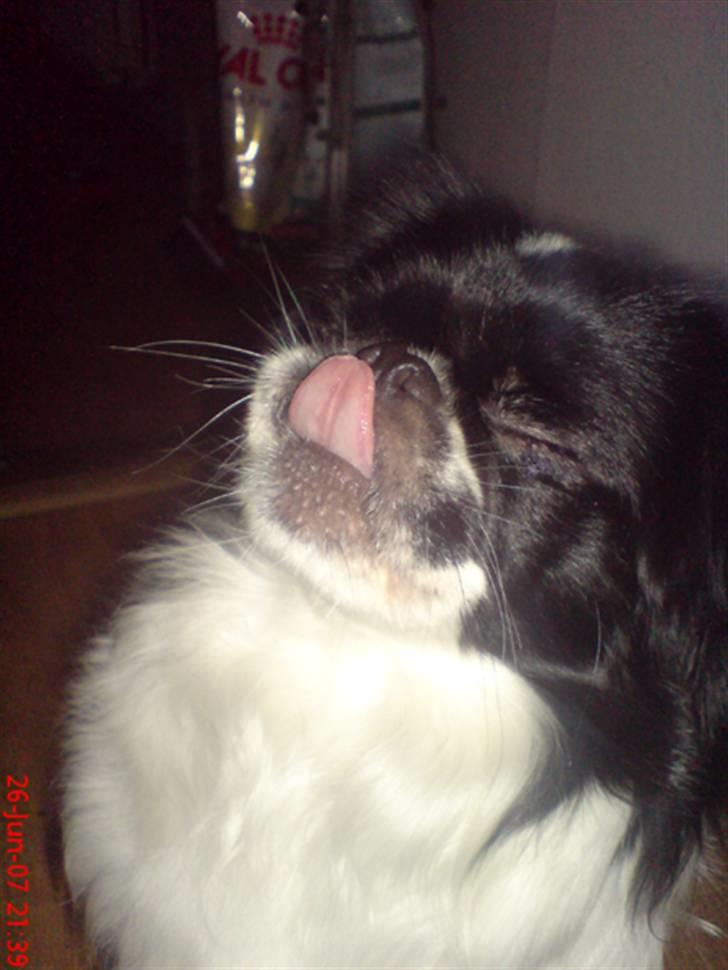 Japanese Sally & Frede ;O) billede 12