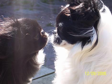 Japanese Sally & Frede ;O) billede 16