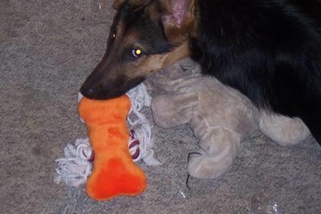 Blanding af racer chika - det er sjovt det her billede 11