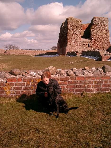 Labrador retriever chang - her sidder jeg stolt med min mor billede 4