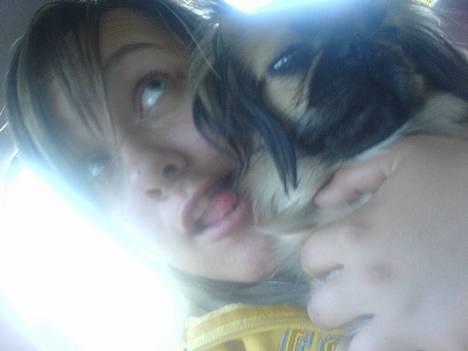 Pekingeser Chu Pow - Ja, mig og Julie, er jeg ikke kær =)? billede 4