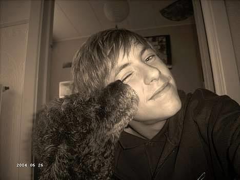 Mellempuddel bonzo - bonzo som lille billede 1