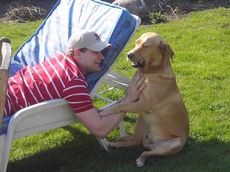 Labrador retriever Tiggie - hvor bliver du af mor vi skal vidre billede 13