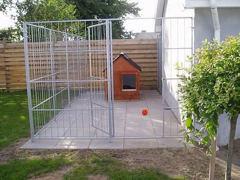 Rottweiler ZENTA - Her er mit dejlige hundehus billede 7