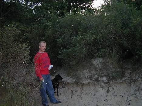 Blanding af racer Shiva - Hund og ejer!!  billede 7