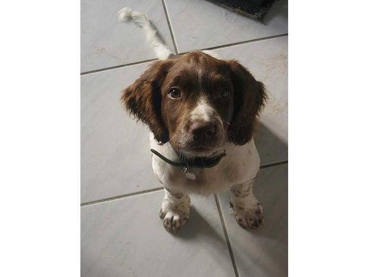 {{currentPhoto.altText}} billede {{currentPhoto.number}}