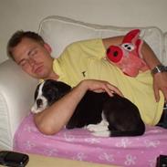 Blanding af racer Troja