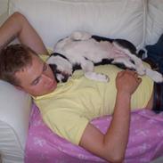 Blanding af racer Troja