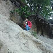 Amerikansk staffordshire terrier Diva