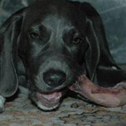 Blanding af racer Isla